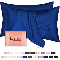 Mulberry Silk Pillow Cases 2 Pack King Size 20x36