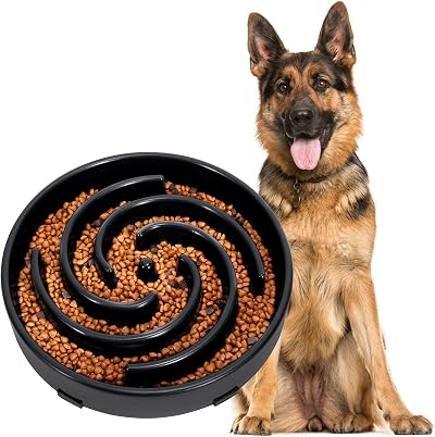 WERFORU Large Slow Feeder Dog Bowl Spiral Maze Non Slip 9.6in Black