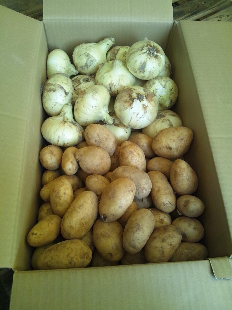 Amazon 新たまねぎ たまねぎ 新じゃがいも じゃがいも 佐賀県産 九州各県産 2品詰合せセット Tanaka Sho Ten たまねぎ 通販