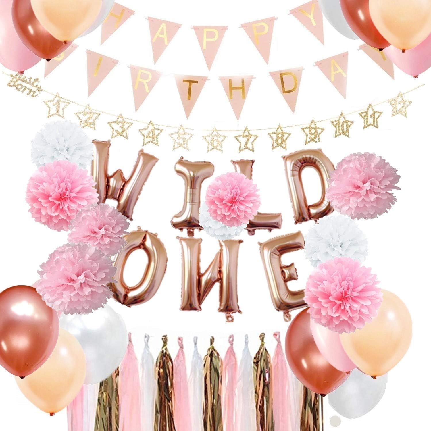 Pink and Rose Gold WILD ONE Balloons Tissue Paper Pom Poms Party Balloons Tassel Garlands 12 months Photos Banner for Baby Shower Decorations - ALL IN ONE