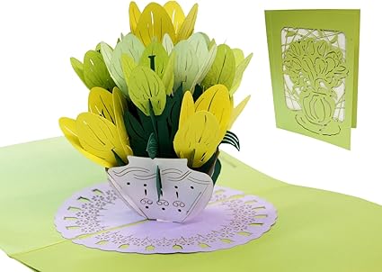Lin Pop Up De Cartes Fleurs Pop Up Carte Mere s Carte Carte D Anniversaire 3d Carte Avec Enveloppe Fete Des Meres Bon Retablissement Fleurs N708 Amazon Es Oficina Y Papeleria