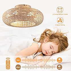 Alaruder Boho Caged Ceiling Fans with Lights Flush