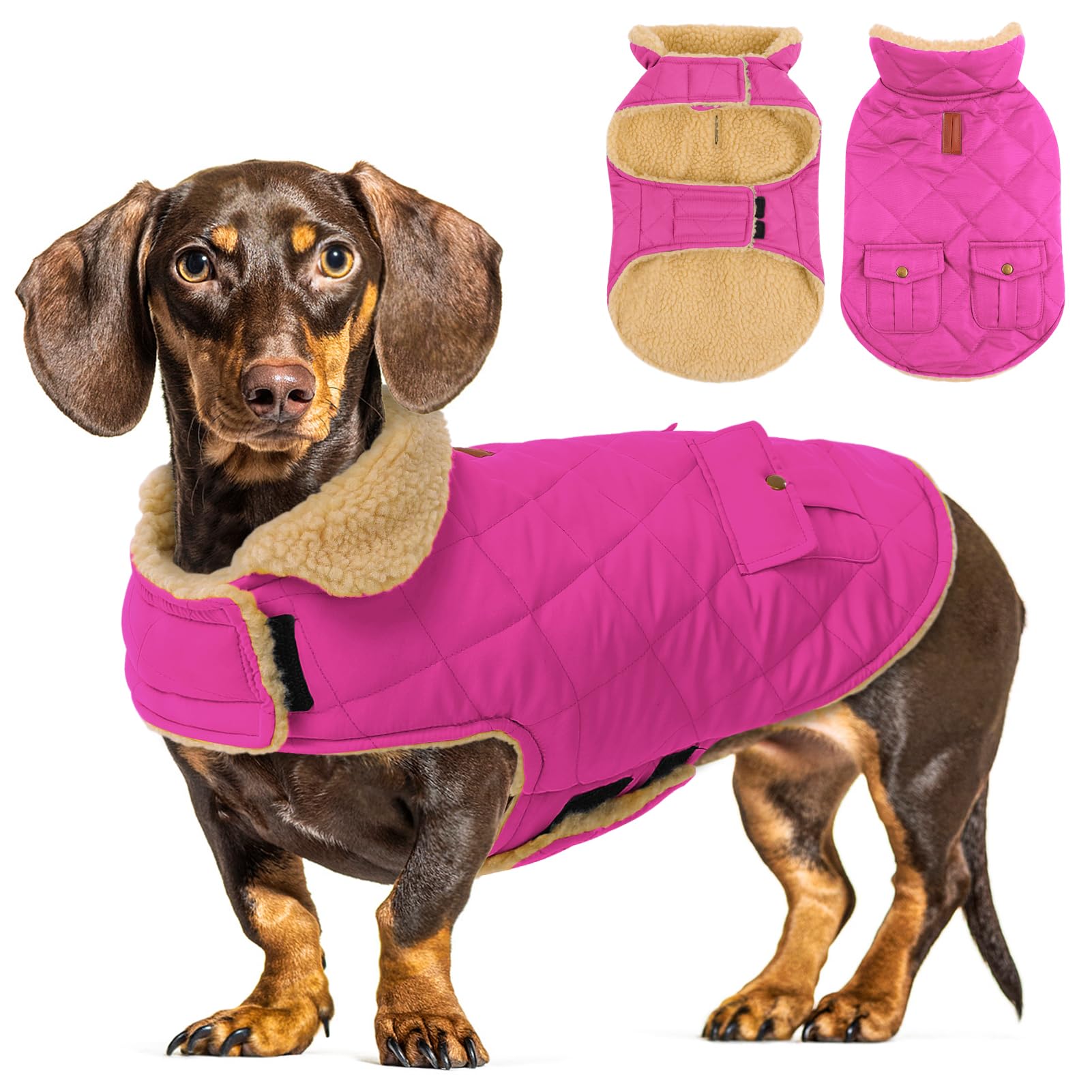 CITÉTOILE Dog Coat – Water-Resistant & Windproof Dog Jacket with Sherpa Lining, Leash Hole & Pockets | Warm Winter Dog Costume for Small, Medium & Large Dogs, Pink, L