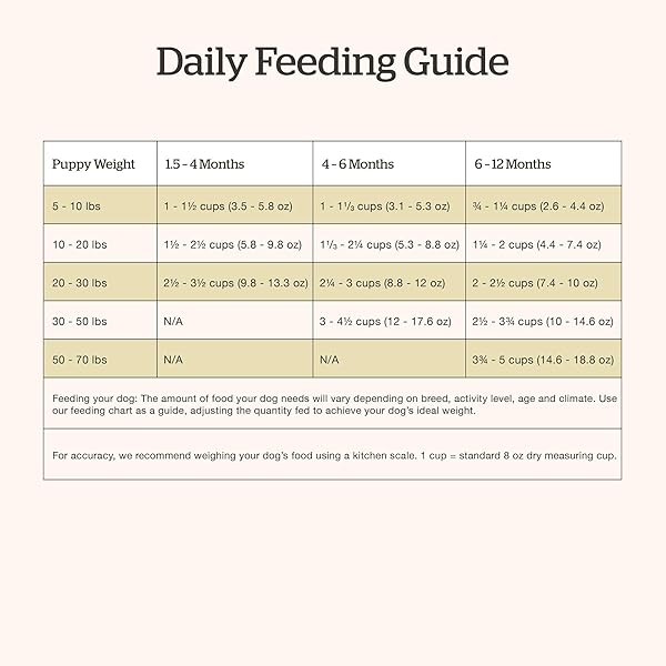 NOW FRESH GRAIN-FREE SMALL BREED DRY PUPPY FOOD WITH TURKEY, SALMON & DUCK, HEALTHY KIBBLE FOR GROWING DOGS WITH REAL POULTRY & FISH, CHICKEN-FREE, PUMPKIN & PROBIOTICS FOR GOOD DIGESTION, 3.5 LB BAG