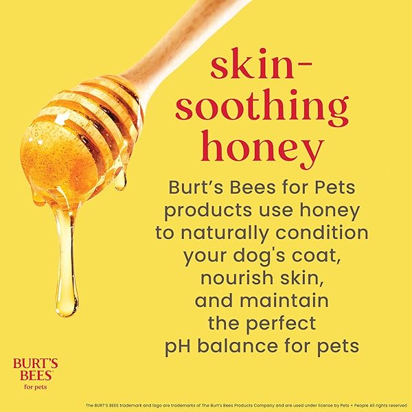 BURT’S BEES FOR PETS EYE & EAR CLEANSING WIPES FOR DOGS, FRAGRANCE-FREE, 98% NATURAL ORIGIN FORMULAS, GENTLE SPOT CLEANING SHEETS FOR DOG EYES AND EARS, 100 COUNT