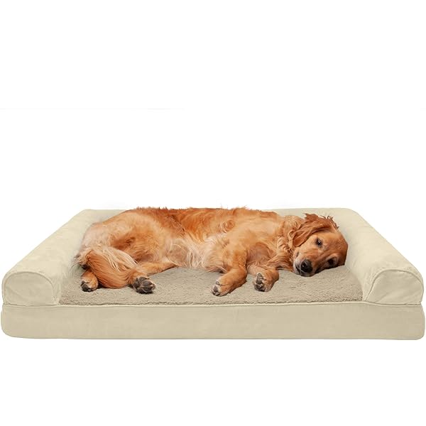 cool gel beds for dogs