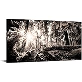 sechars Forest Wall Art Forest Sunrise Landscape Picture Sepia Brown Canvas Print for Home Office Decoration Framed Ready to Hang 24"x48"