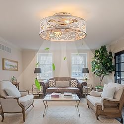 HUEOCZW 20" Caged Ceiling Fan with Light and