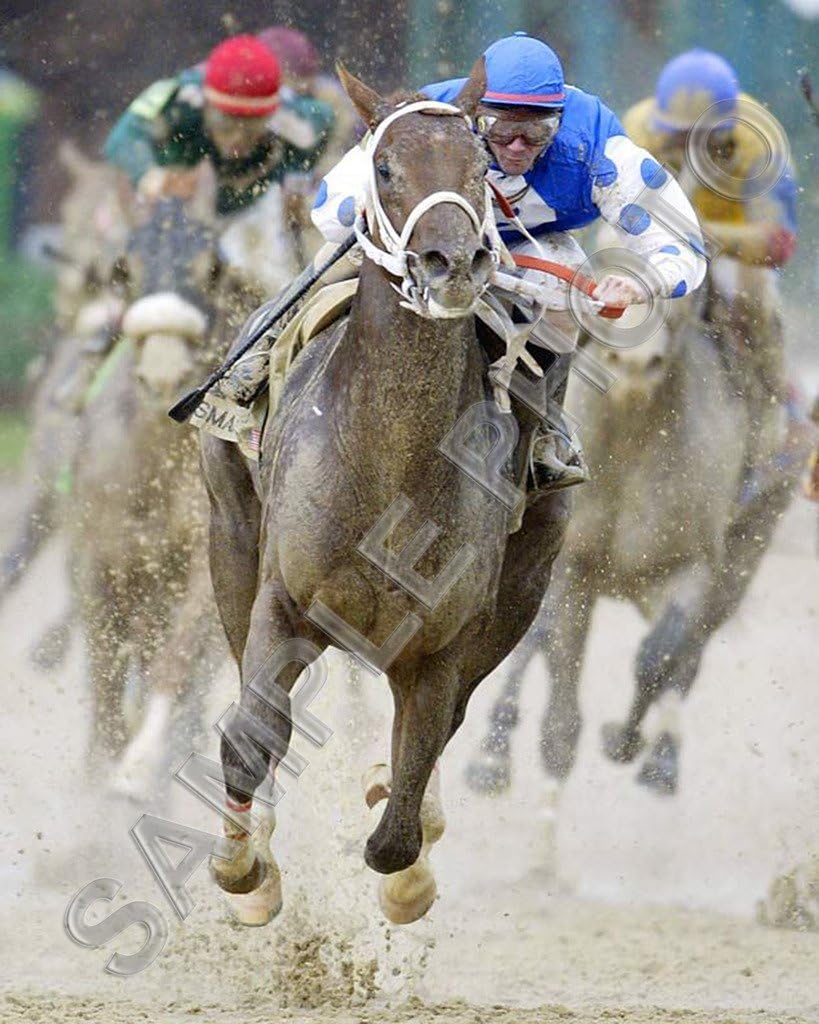 Photographs - SPORTSPHOTOSUSA Smarty Jones 2004 Kentucky Derby Preakness Stakes Winner 8x10 Photo