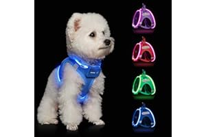 FEYCIG Light Up Dog Harness,Rechargeable LED Dog Harness for Small Medium Large Dogs,Reflective Lighted Safety Vest for Night Walking & Camping,Lightweight & Adjustable,Sky Blue,S