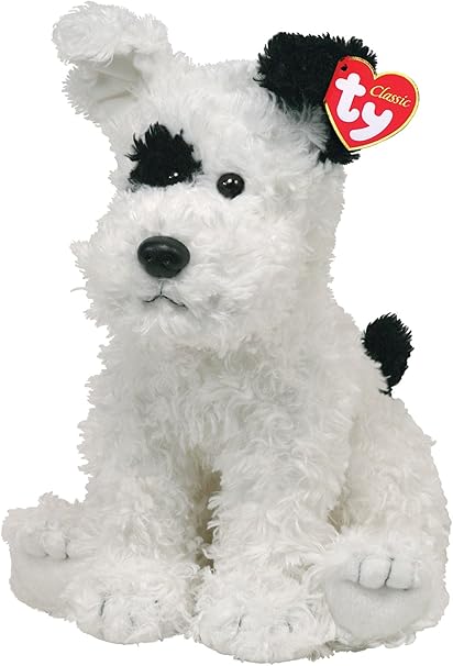 white dog with black eye