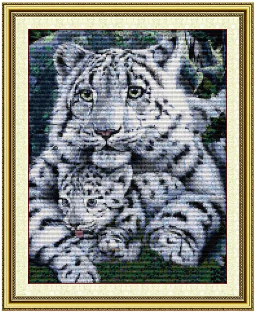 Searchyou 14CT 36x44CM Full Range of Embroidery Starter Kits, Preprinted Pattern Cross Stitch Kits for Beginners Adults - Care