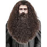 Long Curly Brown Wig and Beard for Men Magic Animal Professor Costume Wigs Synthetic Hair for Halloween Party