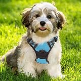 rabbitgoo Dog Harness Small No Pull Front Back Leash Clips Reflective Baby Blue view 9
