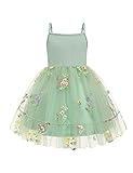 Arshiner Toddler Girl Tulle Dress Sage Green Tutu