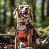 Joytale Reflective Dog Collar XL Orange Neoprene Padded Nylon Adjustable view 2