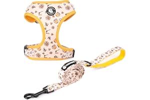 COOWONE Dog Cat Harness and Leash Set, Puppia Soft Mesh Padded and Adjustable Puppy Vest Cute Dog Clothes Escape Proof Easy Walk Pet Accessories (Honeybee, M (Neck 13.4"-16.5"; Chest 17.7"-23"))
