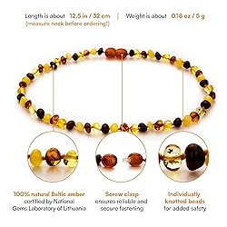 Amber Guru Baltic Amber Necklace