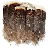 LUORNG Natural Turkey Feather 20PCS 15-20cm/5.9-7.87inch Precious Turkey Tail Feathers for DIY Costume Headress
