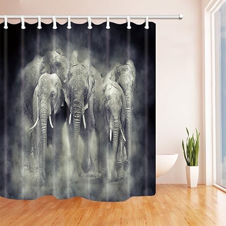 Amazon Com Hisoho National Park Of Kenya Africa Shower Curtains