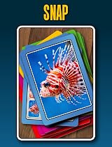 Smart Cards Animals 7 Games in 1 Travel Card Game 50 Cards 1-8 Players view 6