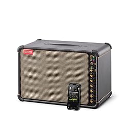 Positive Grid Spark Live Smart Guitar