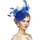 Zinniday Feathers Fascinators Tea Hats - Handmade Women Ladies Cocktail Mesh Flower Derby 20s 50s Hat Acessories