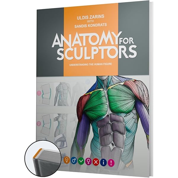 By Johannes W. Rohen - Color Atlas of Anatomy: A Photographic By Johannes W. Rohen - Color Atlas of Anatomy: A Photographic