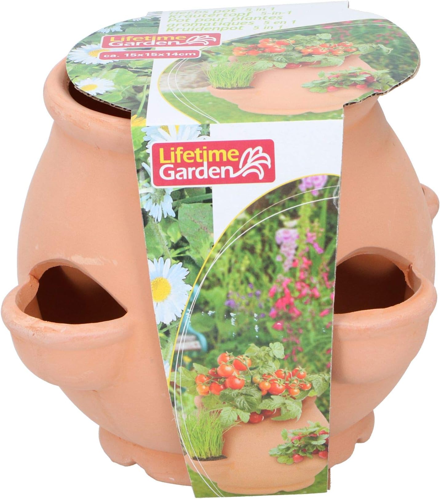 Lifetime Garden 5 in 1 Grow Your Own Herb Terracotta Planter Pot