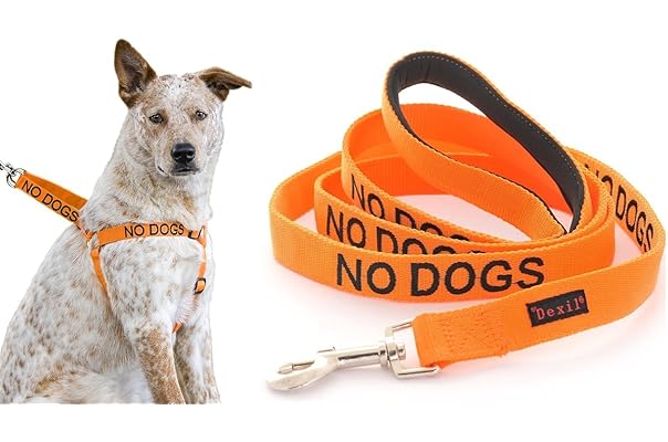 ultrasonic cat collar