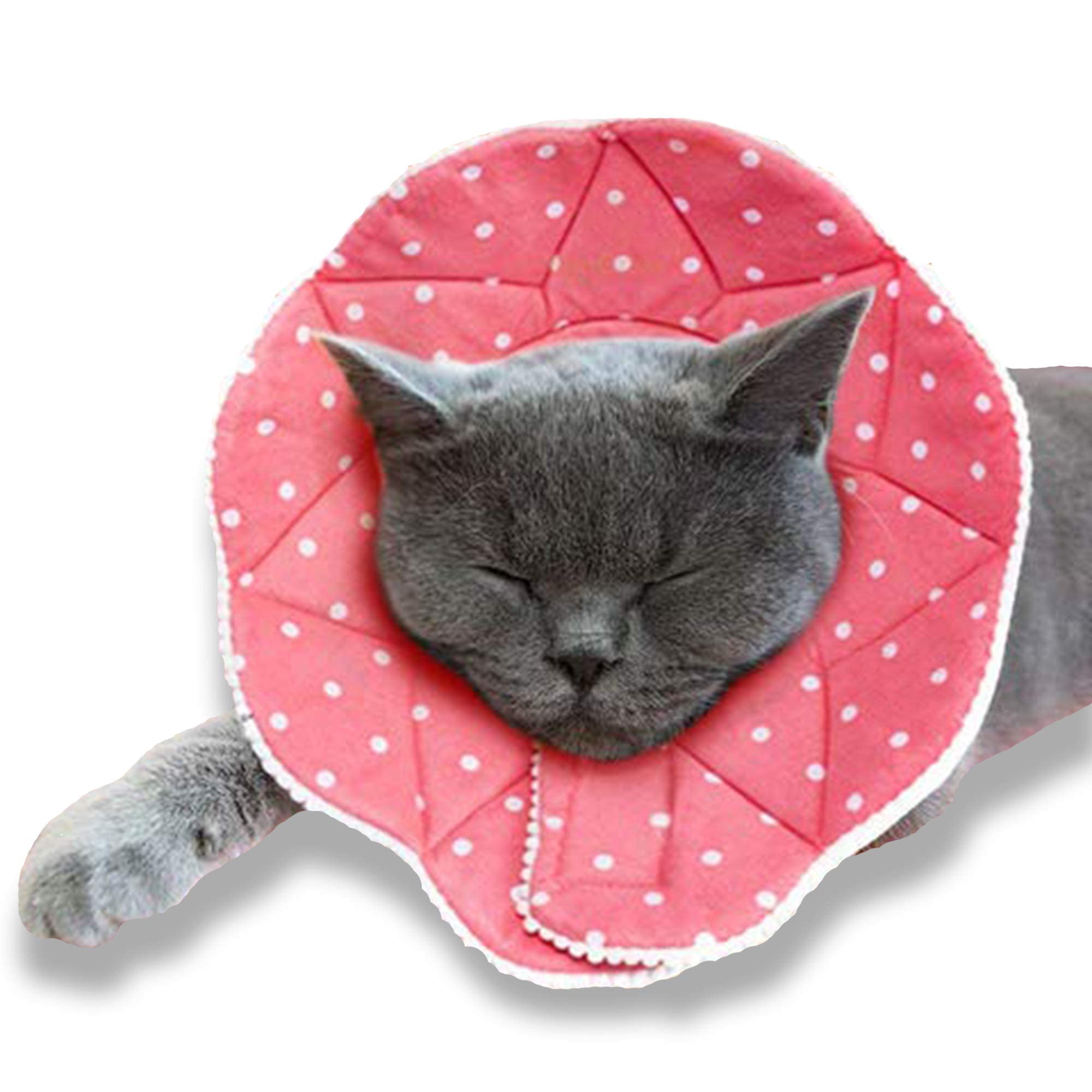 Photo 1 of SunGrow Cat Cone Collar Soft, Pet Recovery Elizabethan E Collar Soft Neck Cone to Stop Licking for Cats & Kittens After Surgery, Cat Surgical Recovery Suit for Wound Cover, Puppy Dog & Rabbit Cone