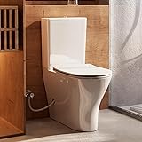 ARES 18" Tall Rear Outlet Toilet, Two-Piece Toilet