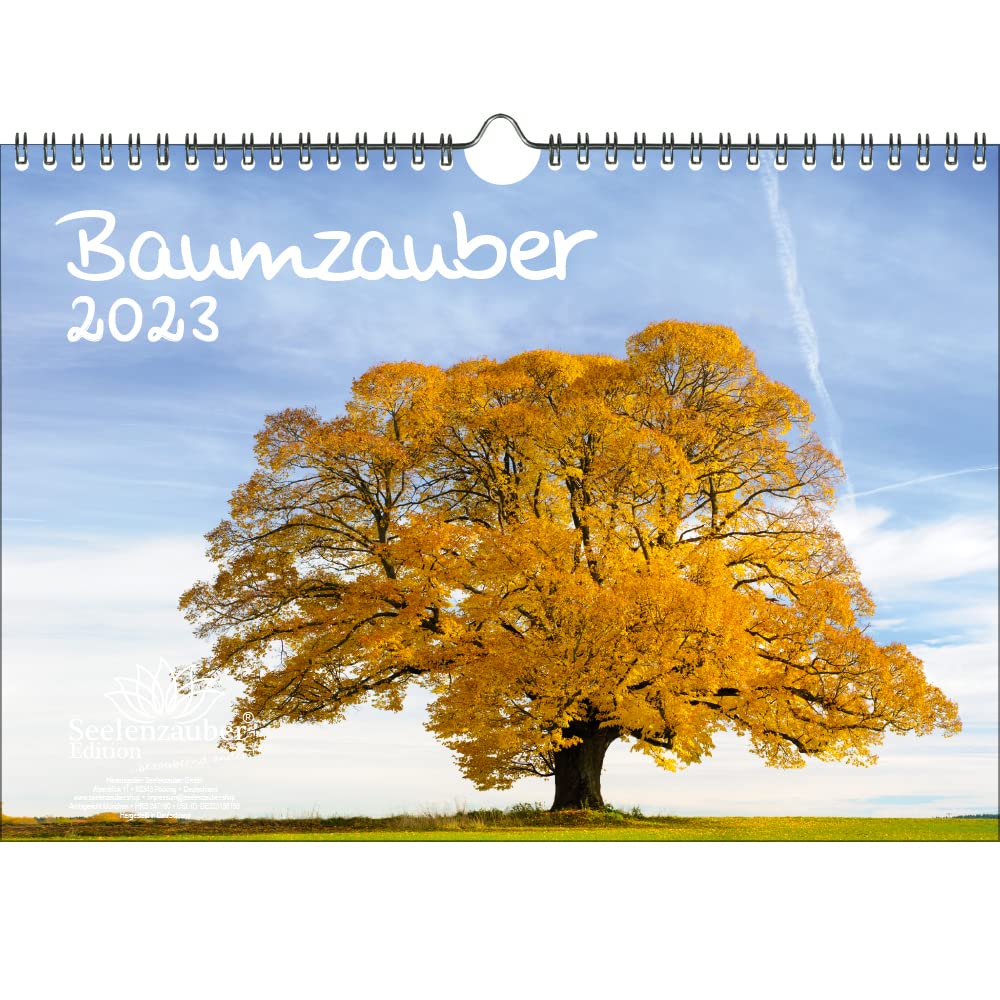 Baumzauber DIN A4 calendar for 2023 tree, trees and forest. Seelenzauber