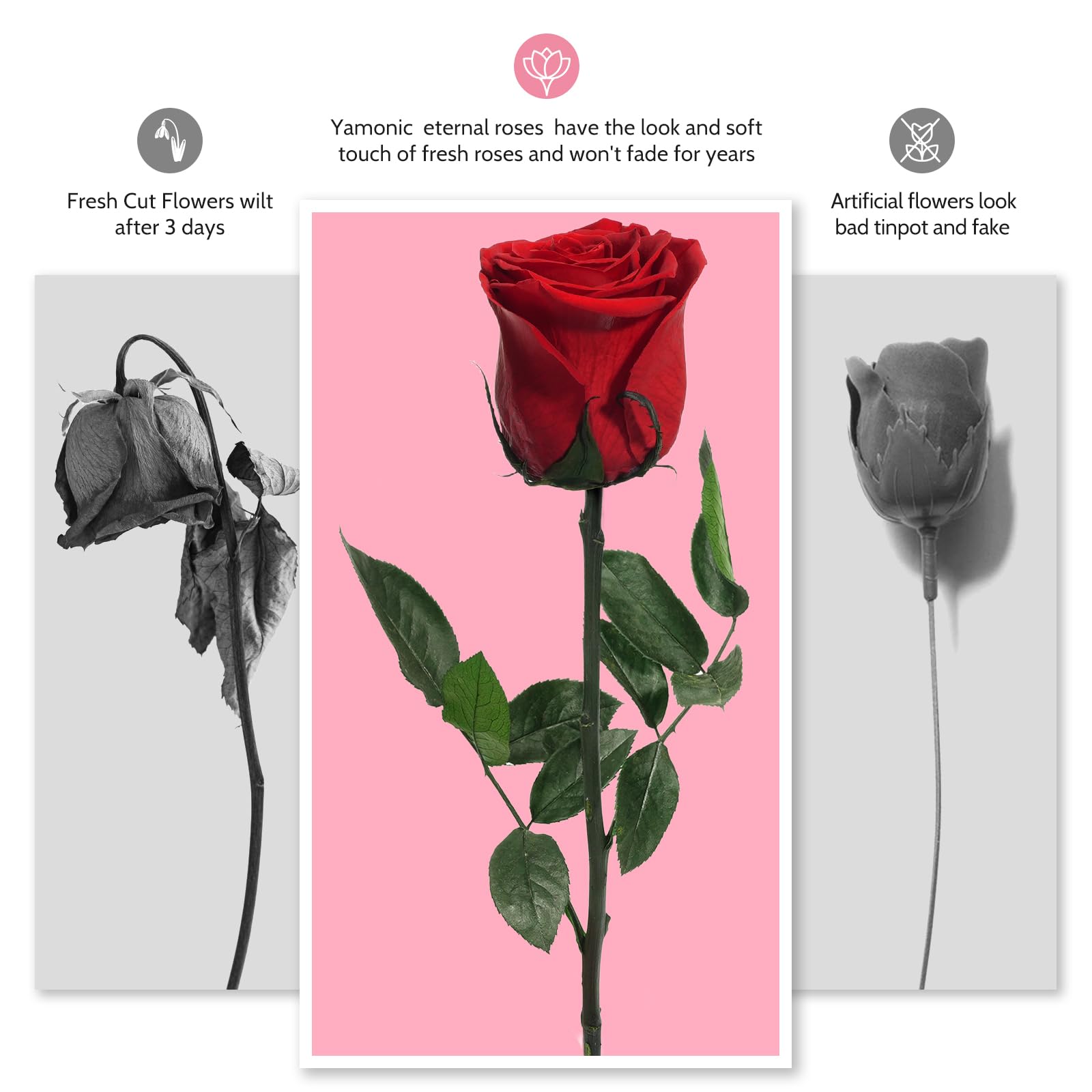 Yamonic Ewige Rose Geschenke für Frauen,Infinity Rose mit Stiel Geburtstagsgeschenk Frauen, Echte Rose in Geschenkbox Geschenke für Mama,Konservierte Blume Geschenk Valentinstag Weihnachten,Rote Rose 6