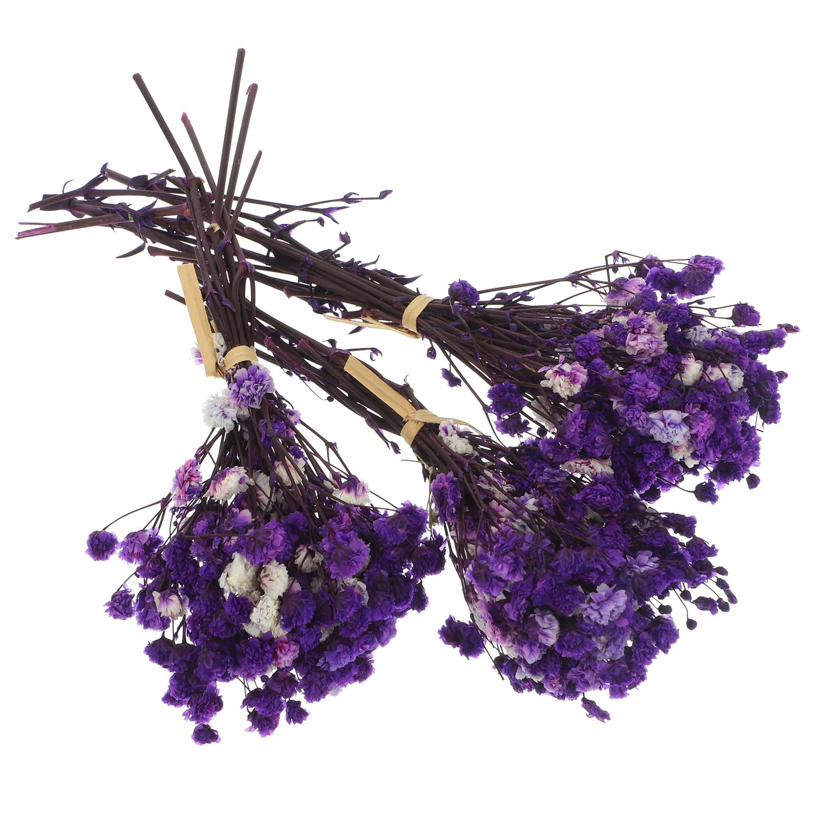 Dried Flowers Babys Breath Flowers: 3 Bunches Natural Dried Flowers Gypsophila Bouquet Dried Flower Branch Fake Baby Breath Bulk for DIY Arrangements Wedding Home Xmas Vase Decor Purple