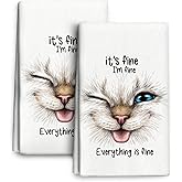 Wovoto Funny Cat Kitchen Towels Decorative Set of 2, Soft Absorbent Cute Dish Towels for Kitchen Drying, Bar Tea Hand Towels Bathroom Farmhouse Decor Gifts for Cat Lovers 16"x24"