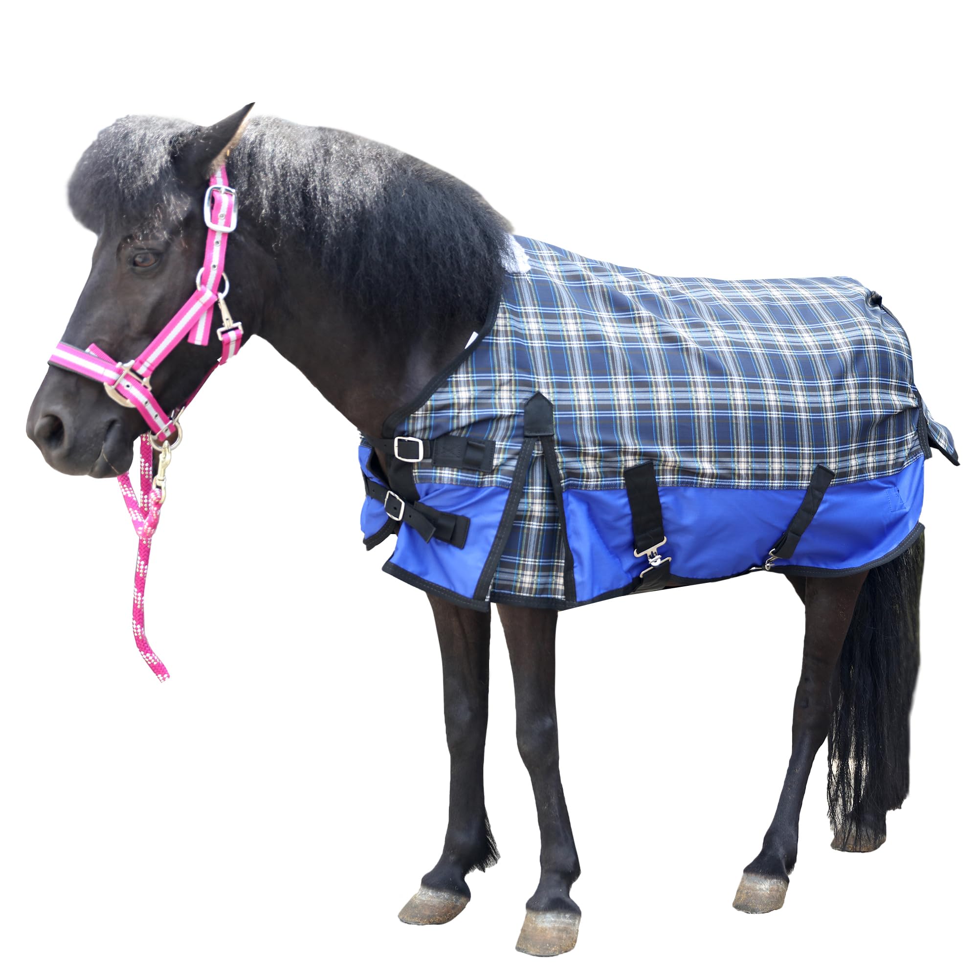 LEAFOREST 600D Polyester Waterproof Shetland Pony Foal Rug, Blue, 36" — image 1