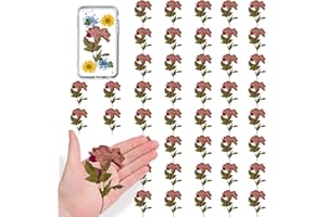 HQT 42PCS Pressed Dried Rose Flowers with Stem and Leaves for Resin Crafts, Natural Real Pressed Dry Rose Flowers for Resin DIY Jewellery Ornament DIY Crafts Candle Making Phone Case Home Decor
