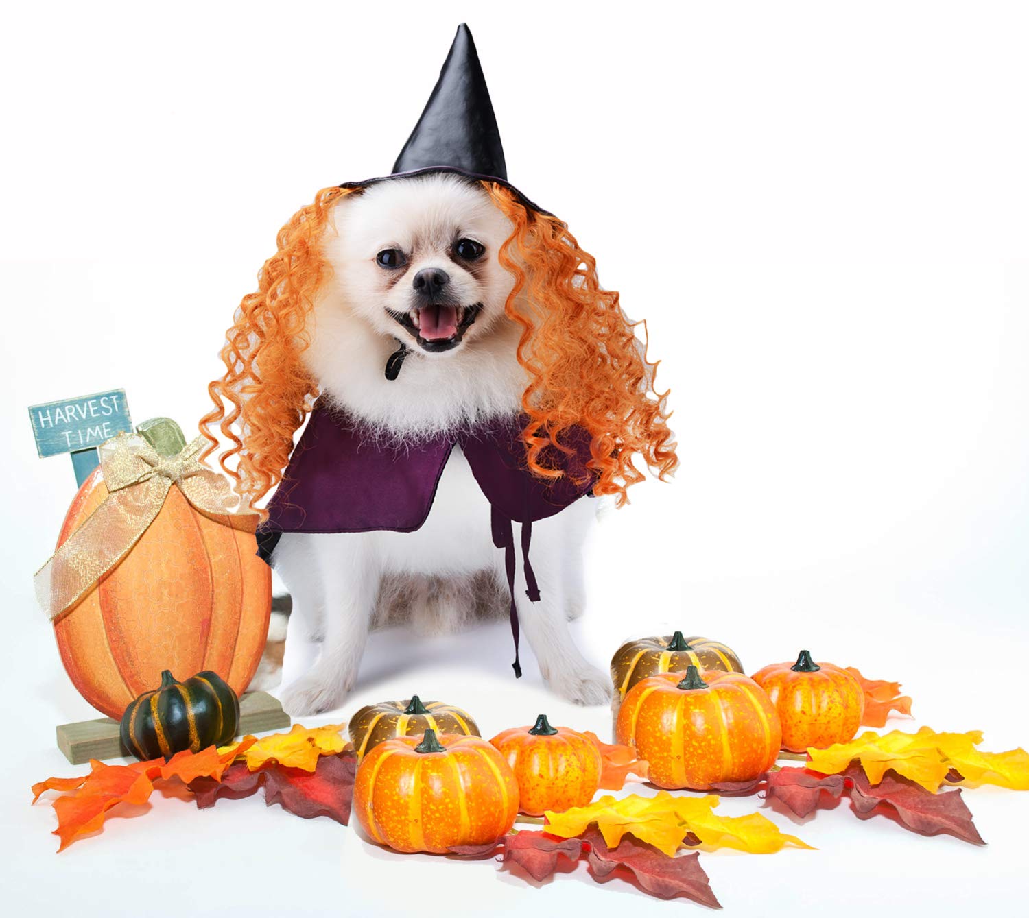 Legendog Halloween Costumes for Dogs, Dog Halloween Costumes, Funny Cat Dog Cape, Dog Wizard Cape and Dog Hat With Wig Pet Costume Set