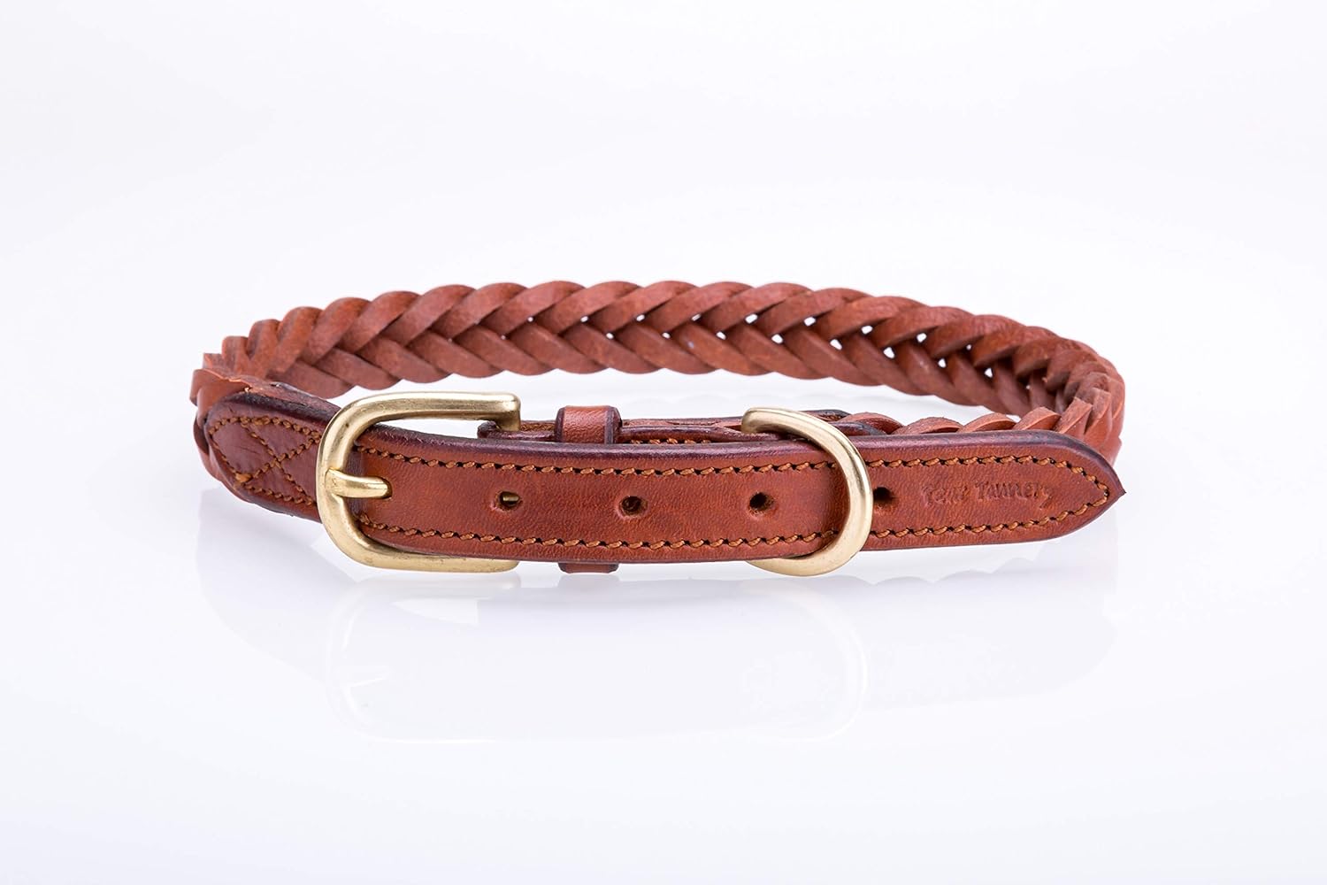 cavalier king charles spaniel therapy dog