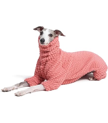 Hondenjas Whippet/Greyhound – Back on Track Nederland