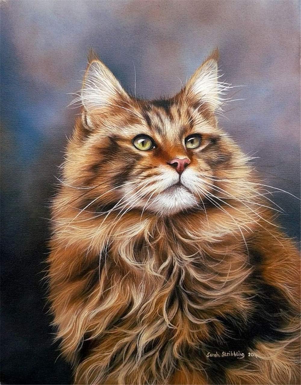 Diy Oil Paint by Number Kit for Adults Beginner 16x20 Inch - Cat,Drawing with Brushes Living Room Decor Decorations Gifts (Frameless)