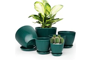 Vodotion - Plant Pots Indoor with Saucers & Drainage - 6 Pack Flower Pots - Plastic Planters for Indoor Planter - 7.5/6.6/5.8/5.0/4.3/3.5 inches Sizes for All Different Types of Plants-Dark Green