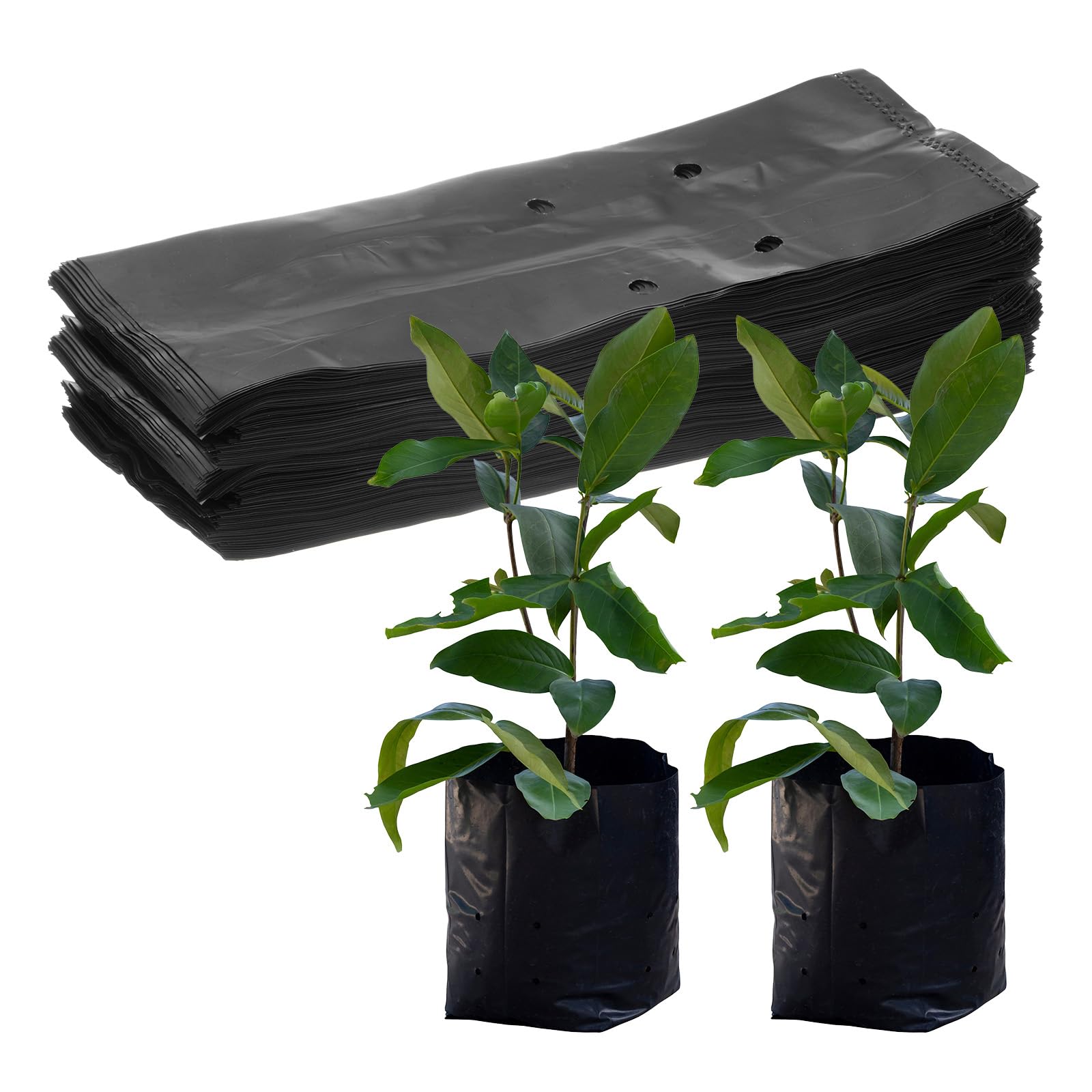 M METERXITY 100-Pack Nursery Growing Bags, 6.7" x 9.8" Thicken Plastic Nursery Bags, Gardening Seed Plant Bags for Potato/Flower/Tomato/Plant Starts/Home Gardening Supplies [Black]