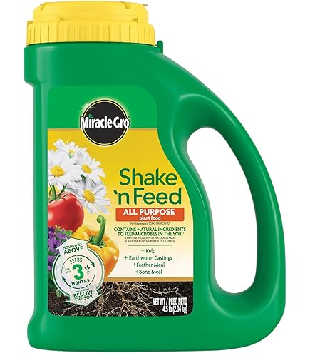dracaena fragrans benefits Dracaena fragrans (Dragon Plant)