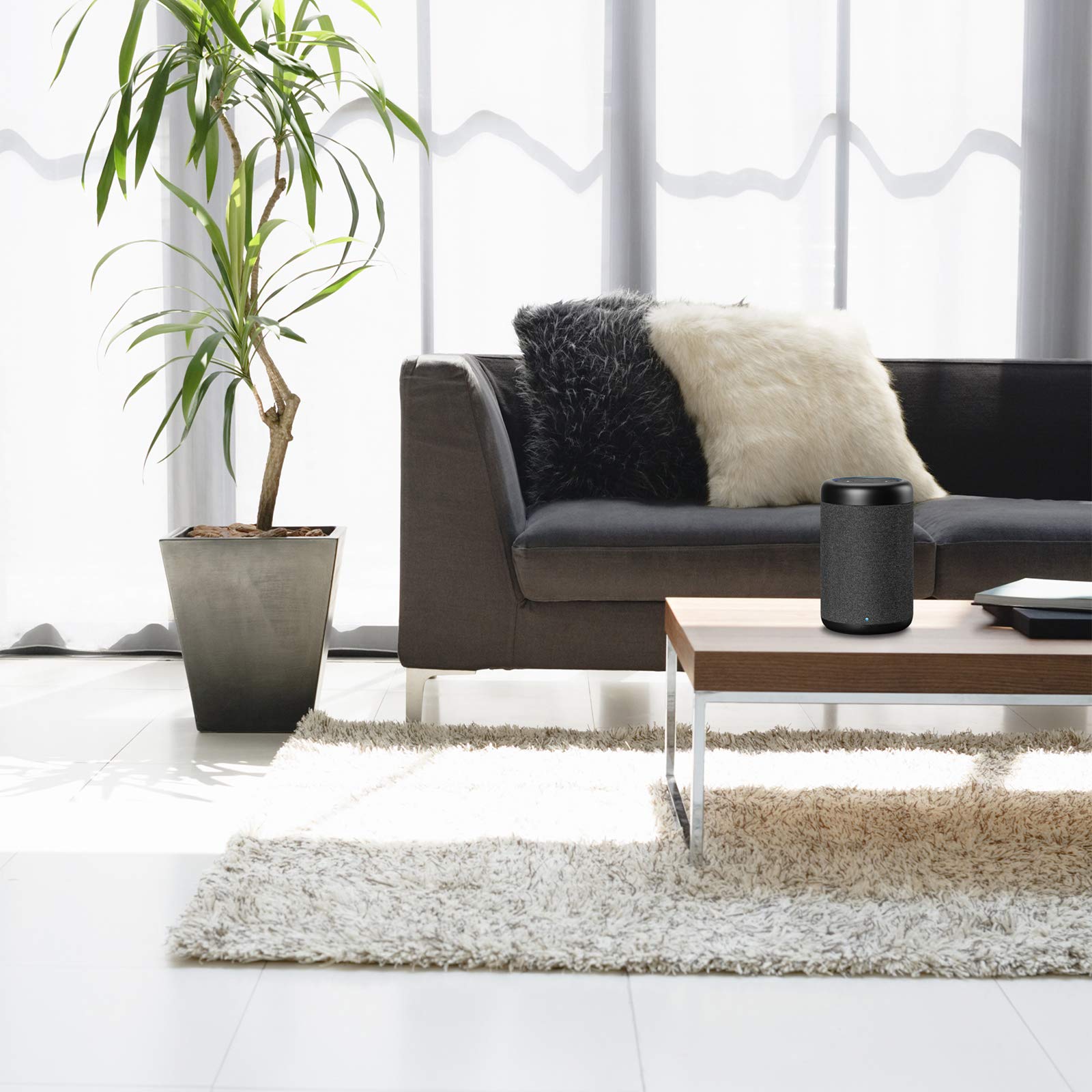 GGMM D6 Portable Speaker for Dot 2nd Generation, 20W Powerful True 360 Alexa Speakers (Black) (DOT Sold Separately)