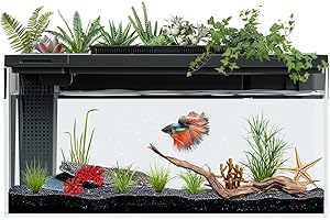 ERAARK Betta Fish Tank self Cleaning, 4 Gallon Aquarium kit Smart Aquarium, Small Fish Tank with Filter Light Water Pump, Fish Tank Starter Kits Fish Bowl