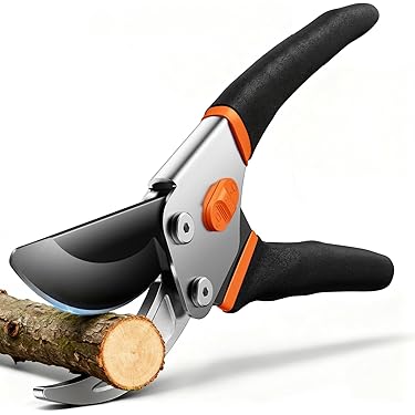 Amazon Best Sellers: Best Bonsai Cutters