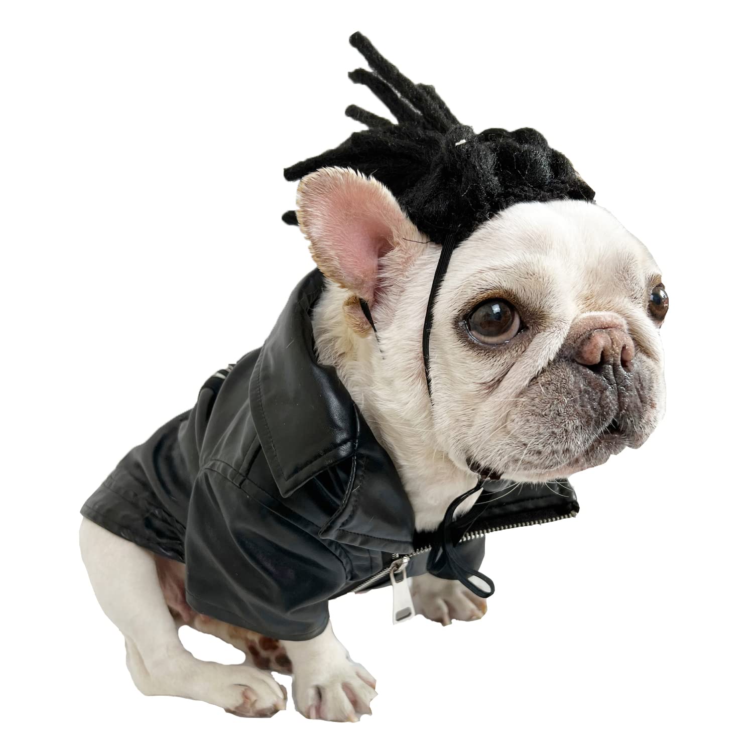 Funny Dog Wig - Cat Role Play Wig for Parties, Festivals, Halloween & Christmas - Black Long Hair, Small to Large Sizes