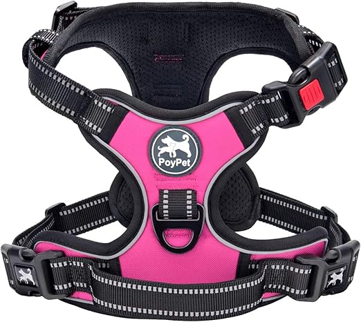 canine equipment no pull harness